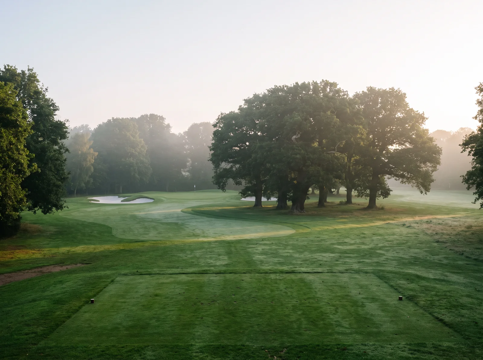 Hole 3 from the tee: the fairway curves past a stand of old oaks towards the green