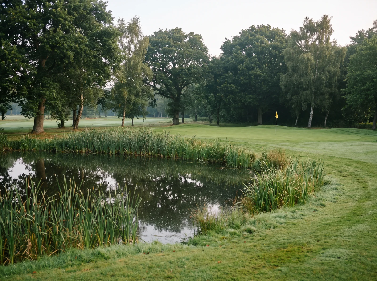 Hole 7: a short hole over a pond to a green with a yellow flag
