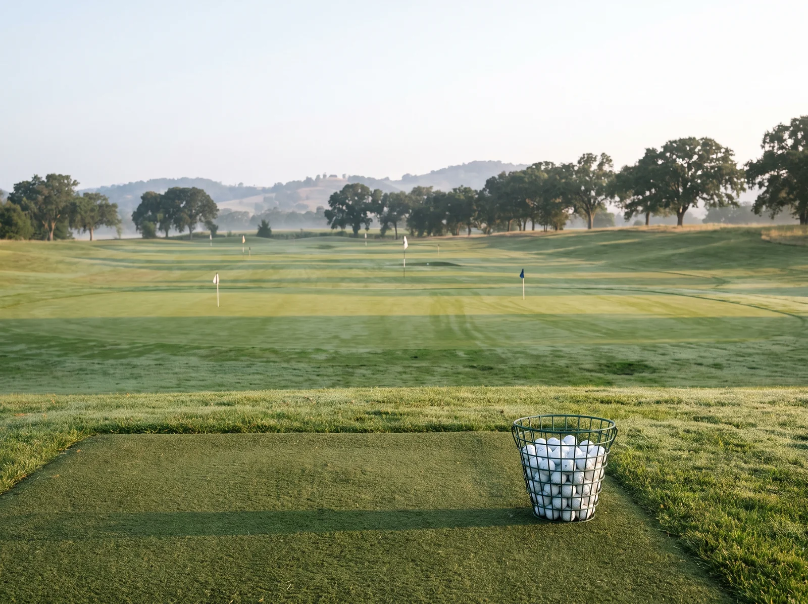 A grass tee on the practice ground with a basket of balls, target flags and oaks in the morning mist